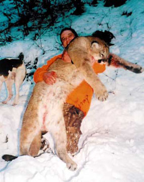 cougar