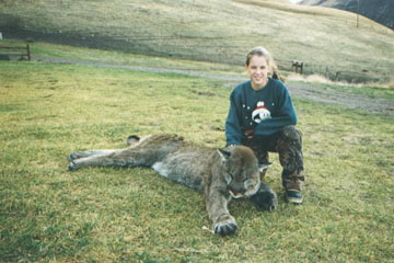 cougar