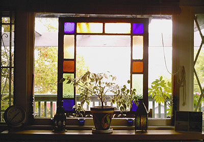 window3.jpg