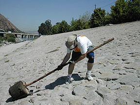 0501pole.jpg