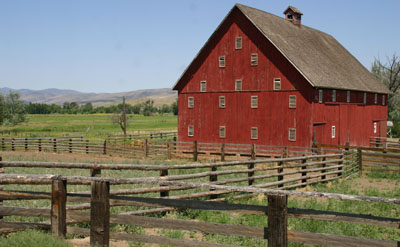 barn2.jpg