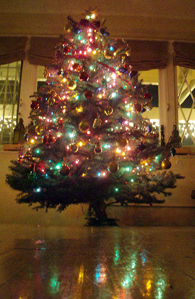 tree06.jpg