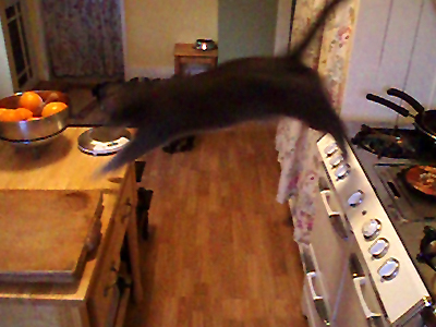 jump.jpg