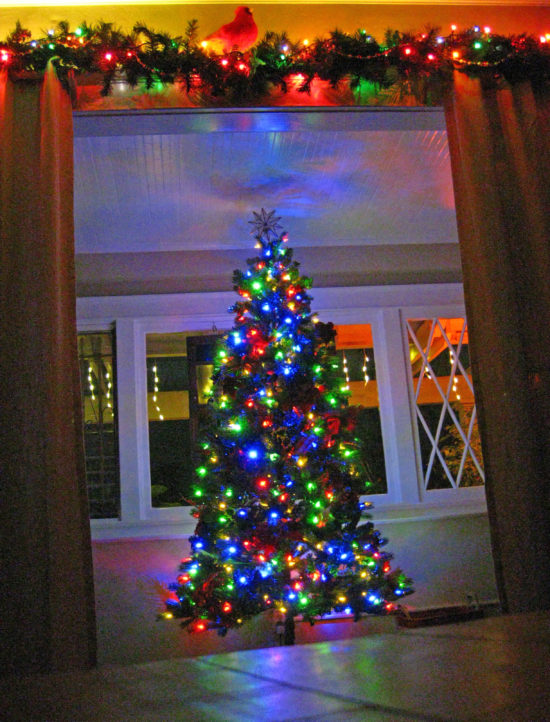 tree2016