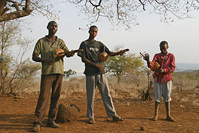 Zeze Musicians
