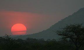 Sunset