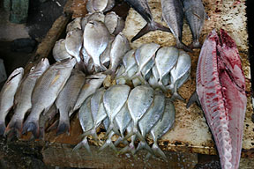Market